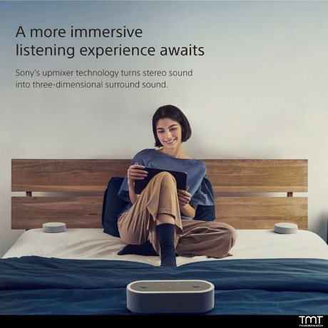 Sony Portable Theatre System - HT-AX7