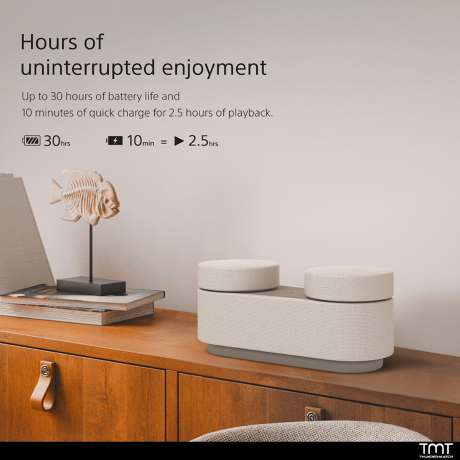 Sony Portable Theatre System - HT-AX7